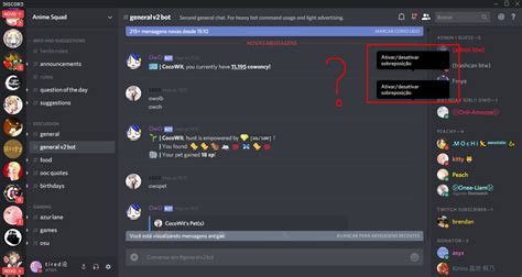 what is a Discord bug